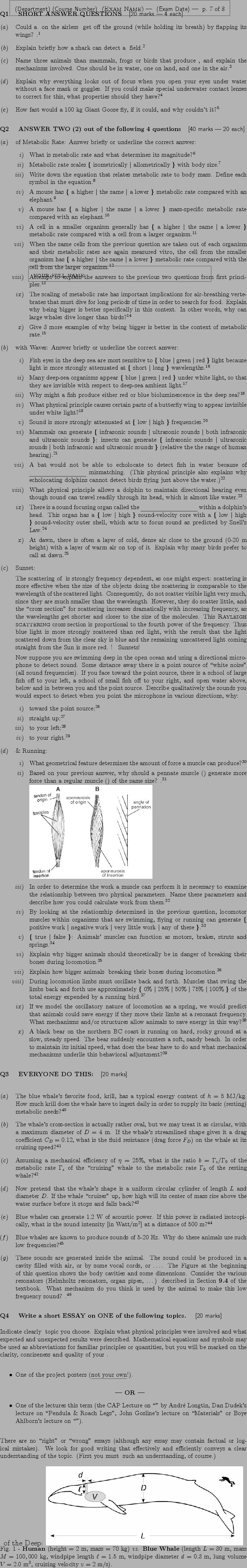 \begin{Exam}
% latex2html id marker 56\Q{ SHORT ANSWER QUESTIONS
~ {\sf[20 m . . . 
 . . . 
(First you must {\slhave\/} such an understanding, of course.)
\par
\end{Exam}